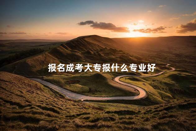 报名成考大专报什么专业好