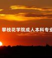 攀枝花学院成人本科专业
