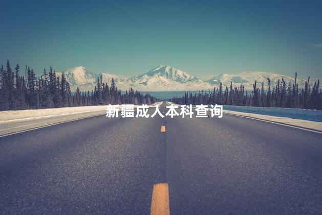新疆成人本科查询