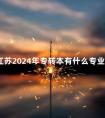 江苏2024年专转本有什么专业