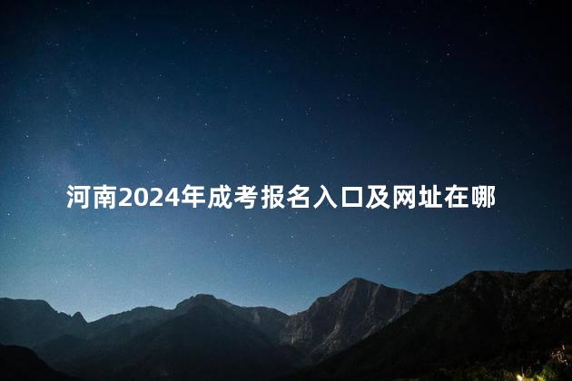 河南2024年成考报名入口及网址在哪里