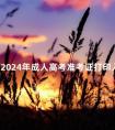 河南2024年成人高考准考证打印入口