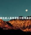 湖北成人高考录取分数线是多少