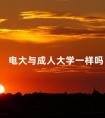 电大与成人大学一样吗