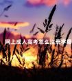 网上成人高考怎么注册学籍
