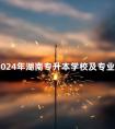 2024年湖南专升本学校及专业