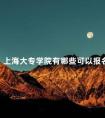 上海大专学院有哪些可以报名