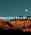 初级会计证怎么考取需要什么条件