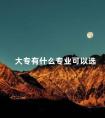 大专有什么专业可以选