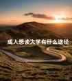 成人想读大学有什么途径