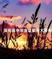 没有高中毕业证能考大专吗