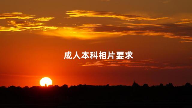 成人本科相片要求