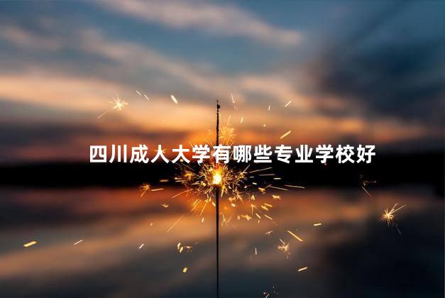 四川成人大学有哪些专业学校好