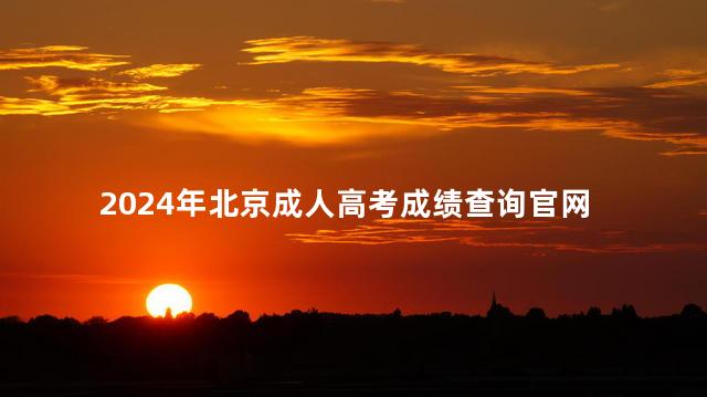 2024年北京成人高考成绩查询官网