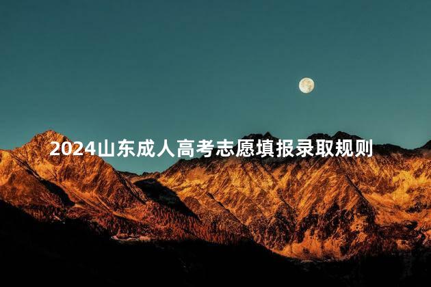 2024山东成人高考志愿填报录取规则