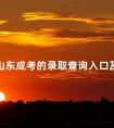 2024山东成考的录取查询入口及方法