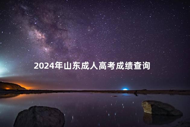 2024年山东成人高考成绩查询