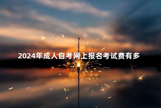 2024年成人自考网上报名考试费有多少