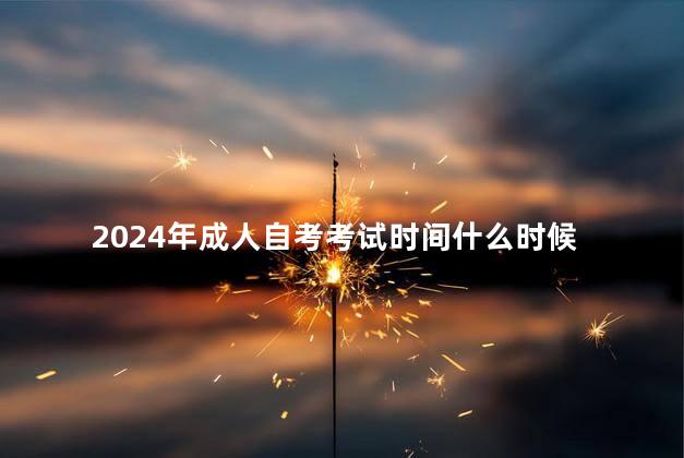 2024年成人自考考试时间什么时候