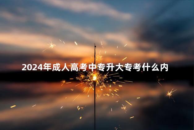 2024年成人高考中专升大专考什么内容