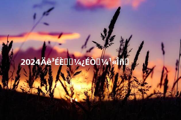 2024年成人高考可以考公务员吗