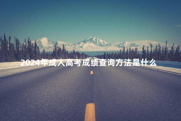 2024年成人高考成绩查询方法是什么