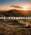 2024年成人高考成绩查询方法是什么