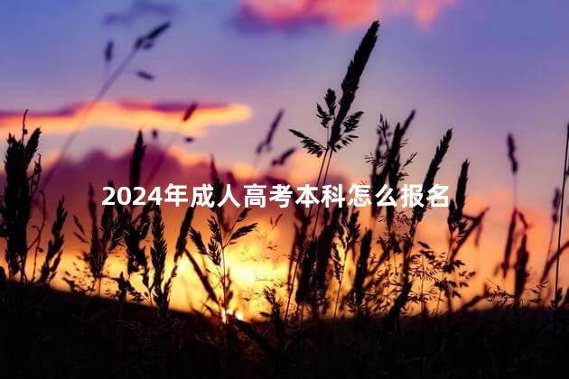 2024年成人高考本科怎么报名