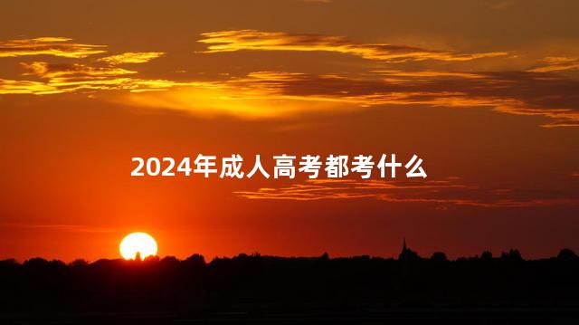 2024年成人高考都考什么