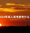 2024年成人高考都考什么
