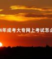 2024年成考大专网上考试怎么办