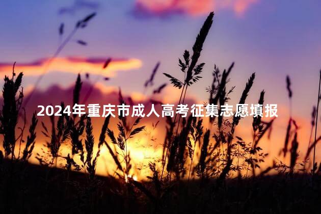 2024年重庆市成人高考征集志愿填报时间:12月7日