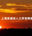 上海青浦成人大学有哪些