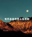 专升本自考怎么报名啊
