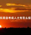 东莞自考成人大专怎么报名