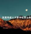 东莞市成人大学学校怎么样