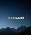 什么是大小自考
