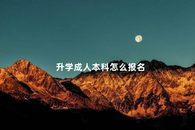 升学成人本科怎么报名