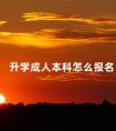 升学成人本科怎么报名