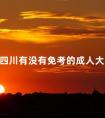 四川有没有免考的成人大学
