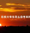在校大专生怎么自考本科