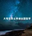 大专生怎么申请出国留学