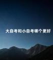 大自考和小自考哪个更好