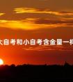 大自考和小自考含金量一样吗