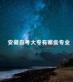 安徽自考大专有哪些专业