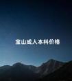 宝山成人本科价格