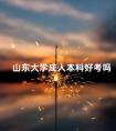 山东大学成人本科好考吗