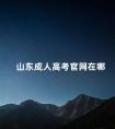 山东成人高考官网在哪