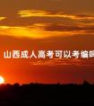 山西成人高考可以考编吗