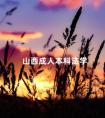 山西成人本科法学